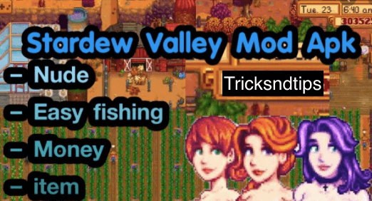 image of What is Stardew Valley MOD APK?