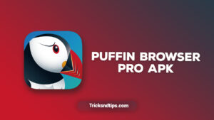 Puffin Browser Pro Apk