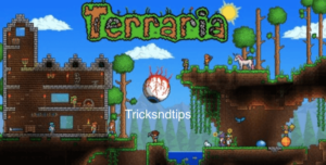 image of Terraria