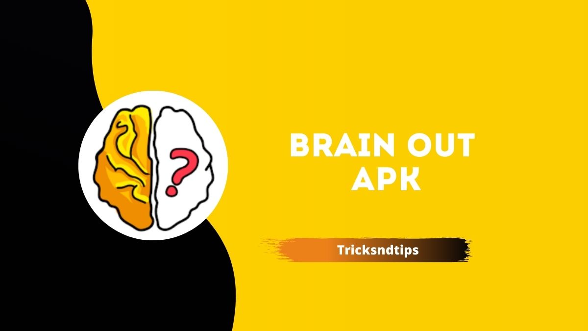 Brain out 3