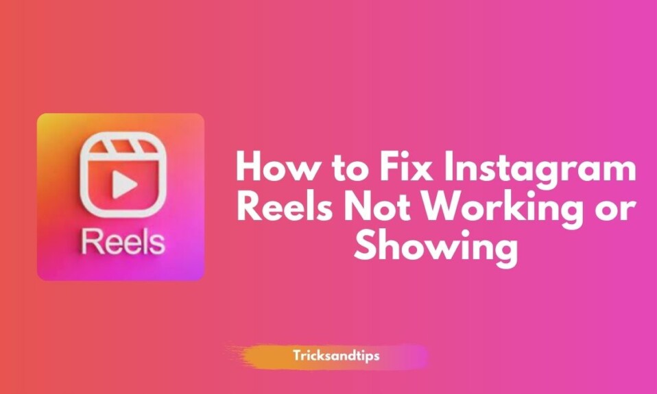How to Fix Instagram Reels Not Working or Showing