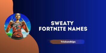 Sweaty Fortnite: 223+ Good, Cool And Best Name (Latest)