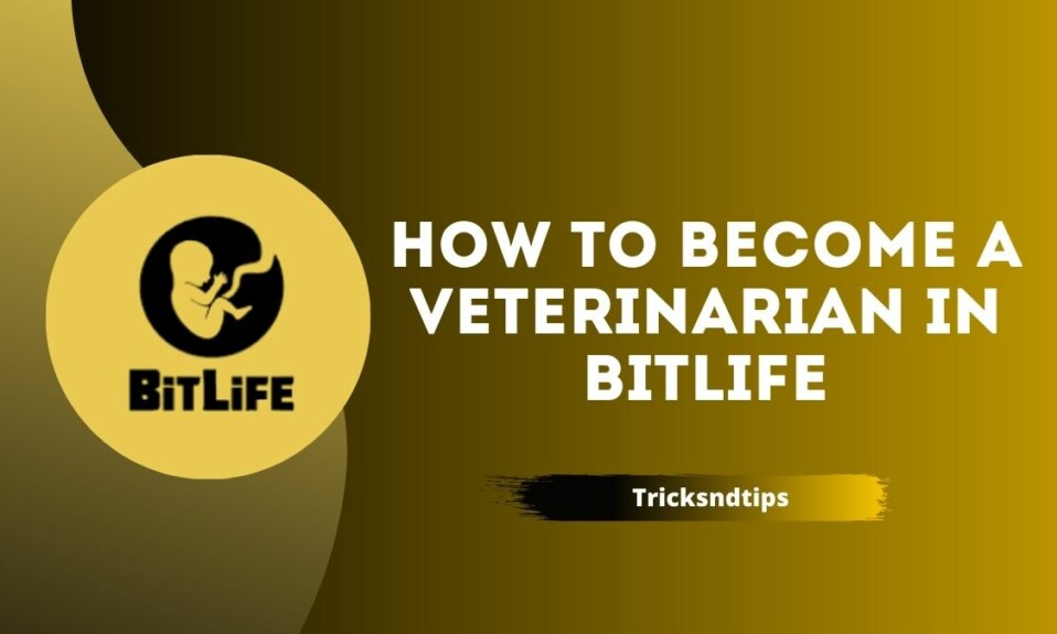 How to Become a Veterinarian in Bitlife