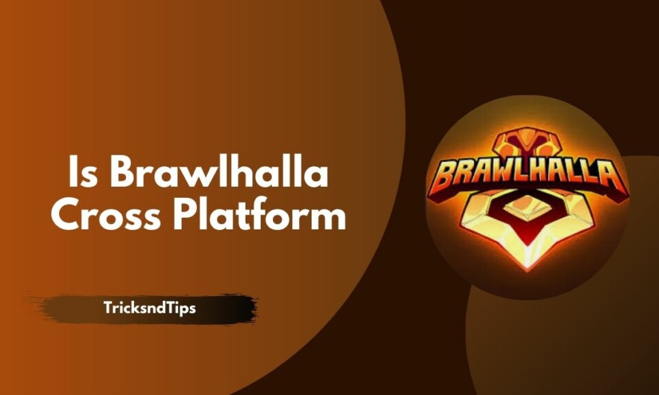 Is Brawlhalla Cross Platform