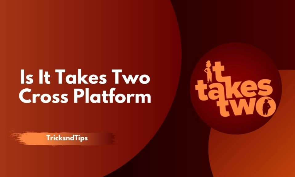 Is it Takes Two Cross-platform
