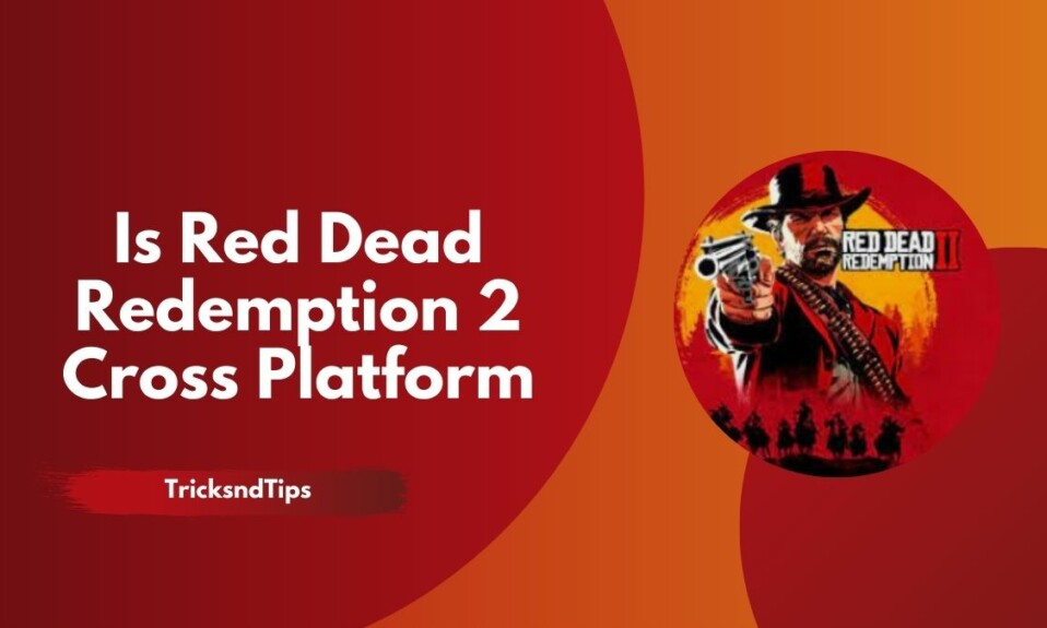 Is Red Dead Redemption 2 Cross Platform