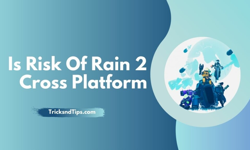 Is Risk Of Rain 2 Cross Platform