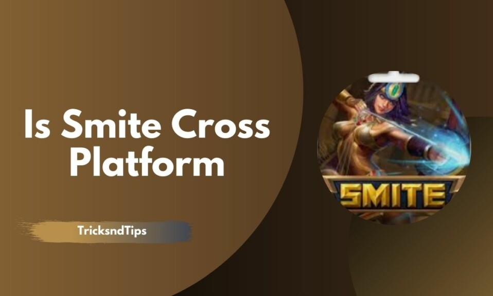 Is Smite Cross Platform