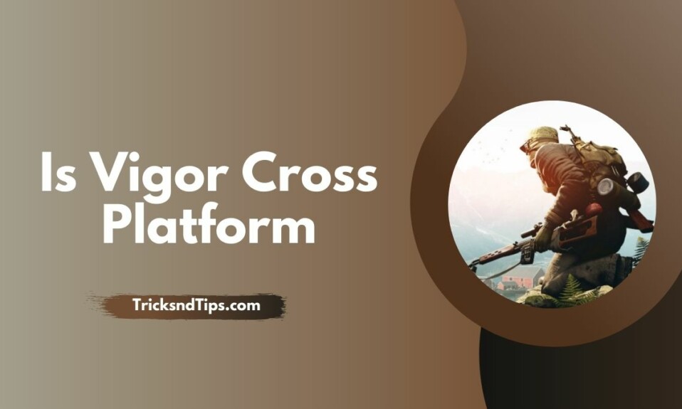 Is Vigor Cross Platform