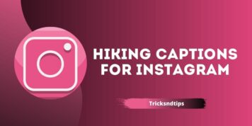 267 + Hiking Captions For Instagram (Unique & Funny)
