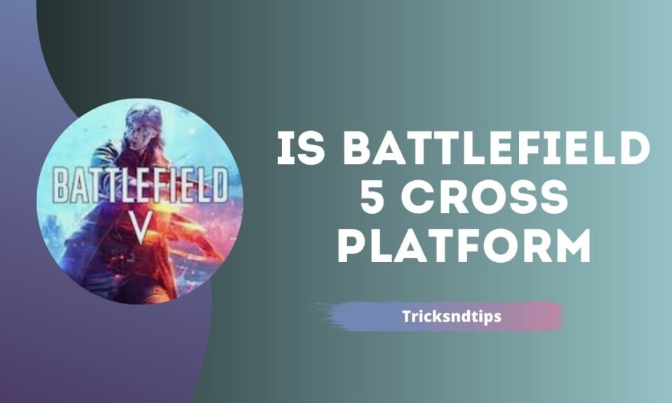 Is Battlefield 5 Cross Platform