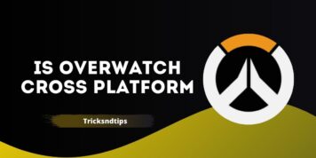 Is Overwatch Cross Platform ( PC, Xbox, Switch & PlayStation )