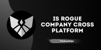 Is Rogue Company Cross Platform (PC, PS5, Xbox One)