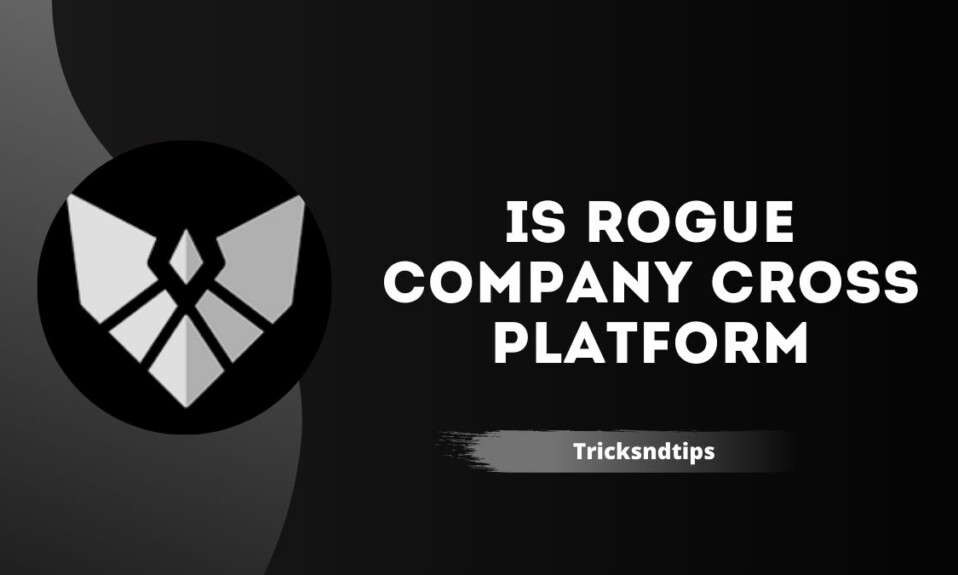 Is Rogue Company Cross Platform