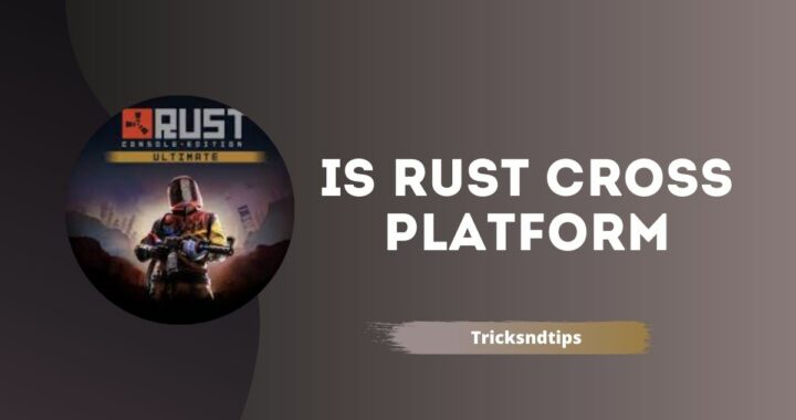 Is Rust Cross Platform ( PC, PS5, XBOX & Switch )