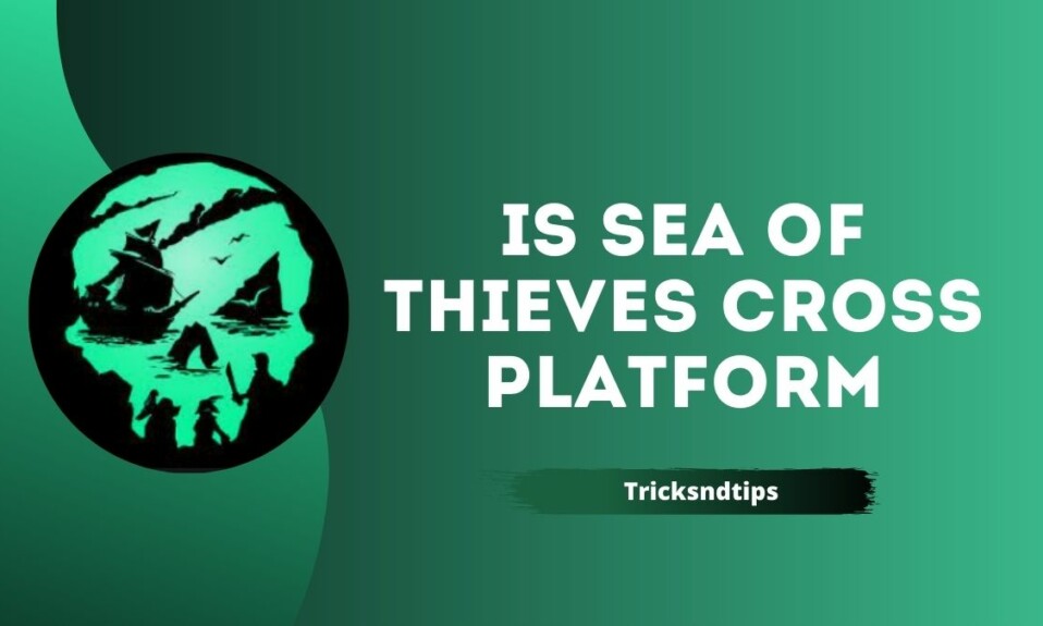 Is Sea Of Thieves Cross Platform