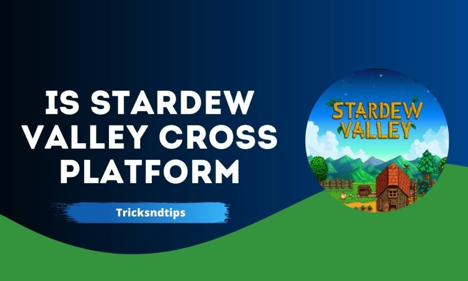 Is Stardew Valley Cross Platform