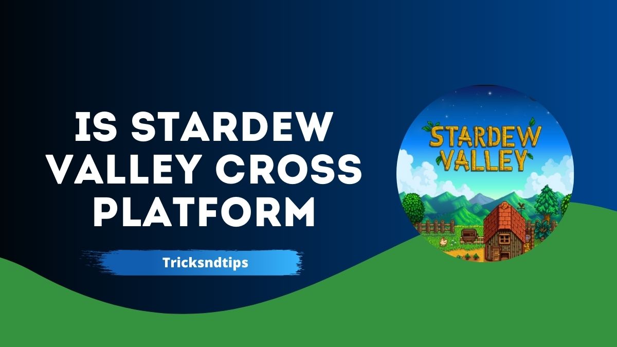 Stardew Valley: Crossplay auf Switch, PC, PS4, PS5 und Xbox Series
