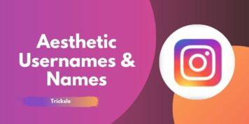 806+ Aesthetic Usernames & Names ( Soft, Cute, Cool Names Ideas )