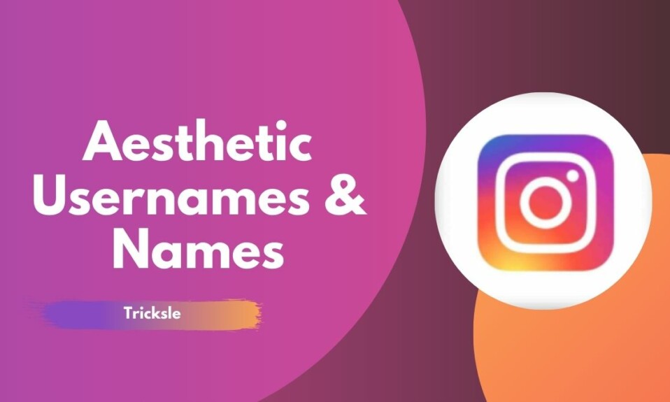 Aesthetic Usernames & Names