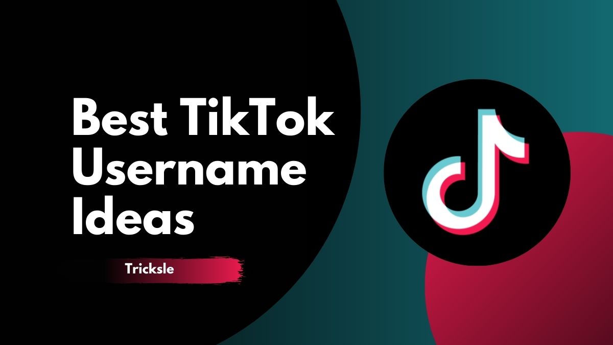 1842+ Best TikTok Username Ideas (Catchy & Trendy Names) » Tricksndtips