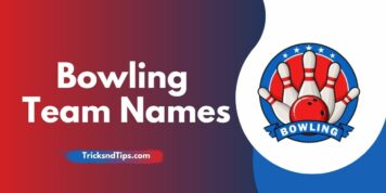 322 + Bowling Team Names and League Names ( Fresh and Unique )
