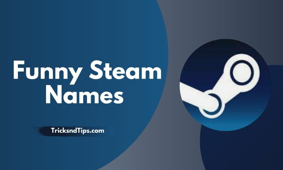 Funny Steam Names
