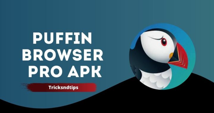 Puffin Browser Pro APK  v9.4.1.51004 Download ( Premium Unlocked )