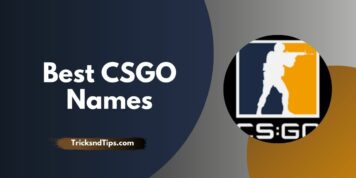 959+ Cool CSGO Unique Name Ideas ( Funny , Latest & Unique ) 2023 —  Tricksndtips