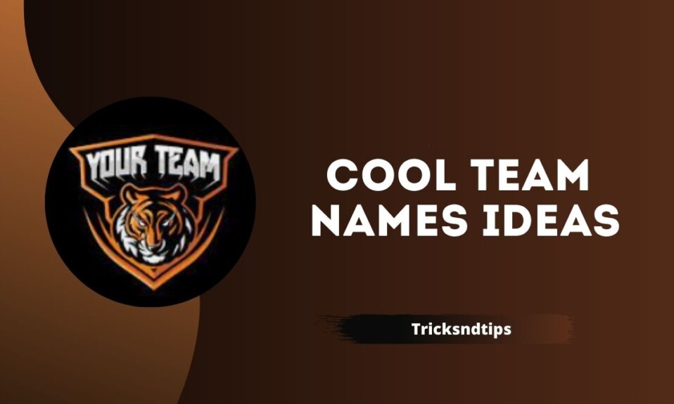 Cool Team Names Ideas Perfect For Your Group