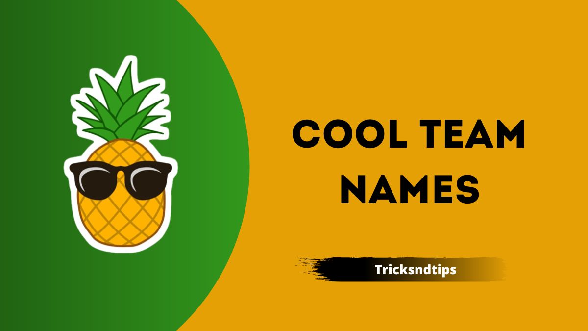 635 + Cool Team Names Ideas Perfect For Your Group ( Latest & Unique ...