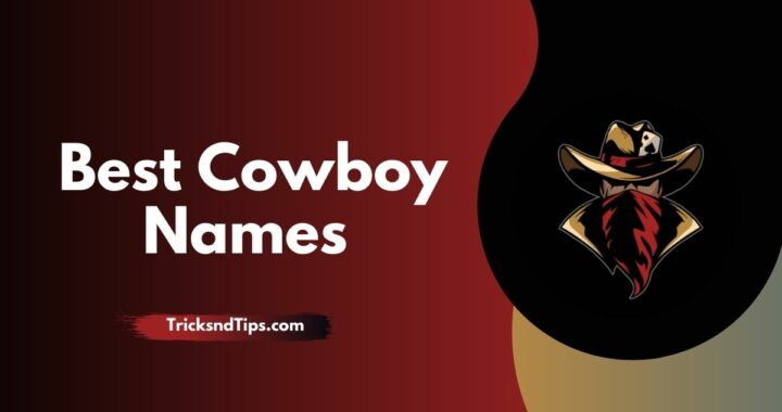 248 + Best Cowboy Names ( Latest New Names Lists )