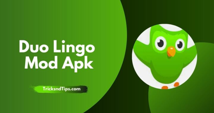 Duolingo MOD APK v5.40.2 Download ( Premium Unlocked )