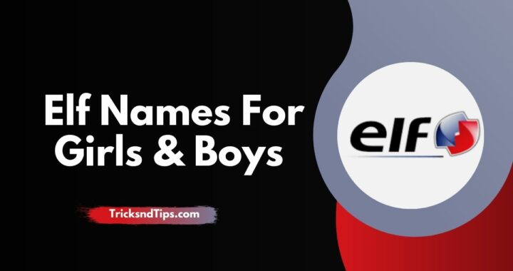 Top 145 + Elf Boy & Girl Names With Meanings ( Latest List )
