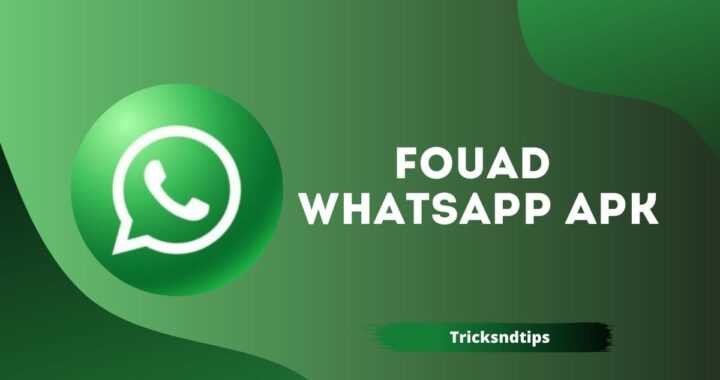 Fouad WhatsApp APK v8.95 Download ( Latest & Anti-Block )