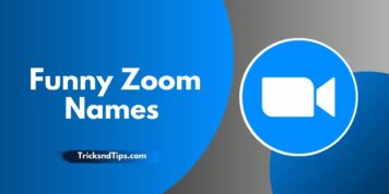 852 + Funny Zoom Names ( Best, Cool, And Clever ) 2023 — Tricksndtips