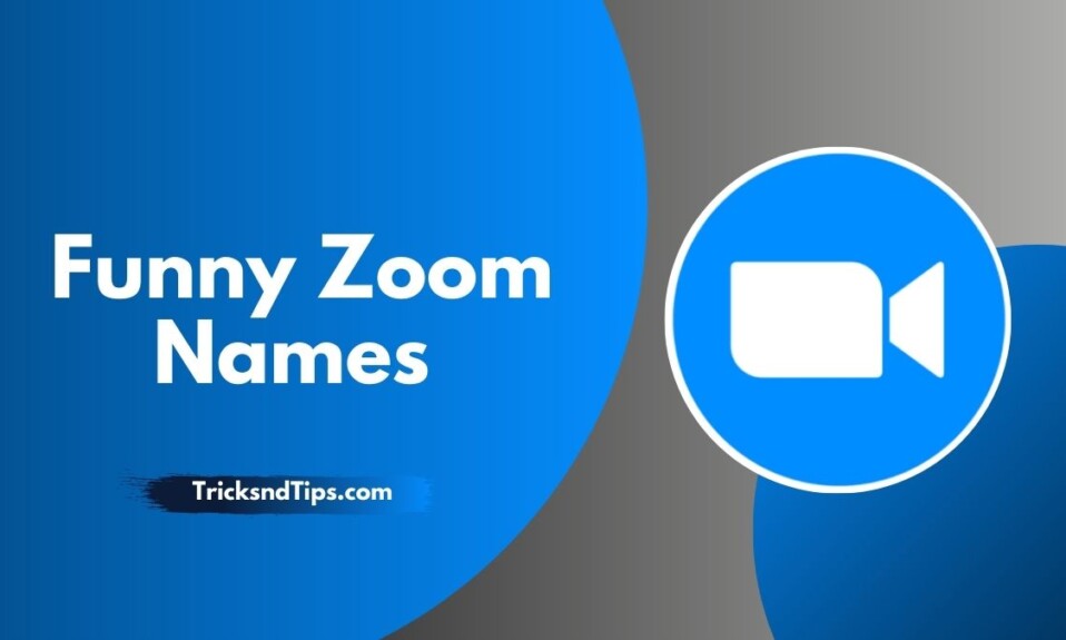 Funny Zoom Names