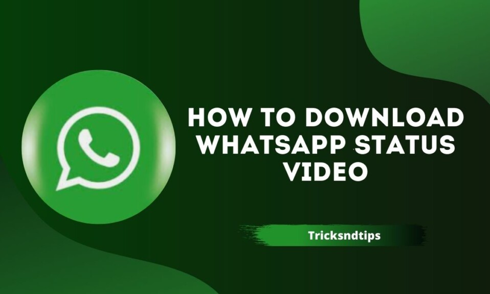 How to Download Photos & Videos From WhatsApp Status
