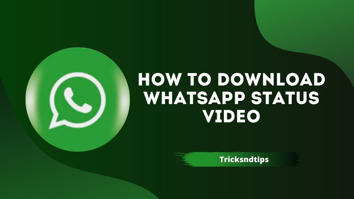 how-to-download-photos-videos-from-whatsapp-status-100-working