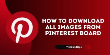 How to Download All Images from Pinterest Board ( Working & Easy Ways )