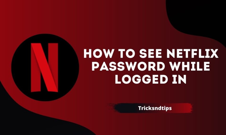 How to See Netflix Password While Logged in