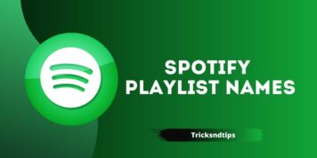 856 + Best Spotify Playlist Names ( Latest Updated List ) 2023