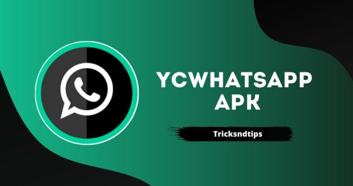 YCWhatsApp Apk v4.0 Download ( Anti-Ban & Unlocked ) 
