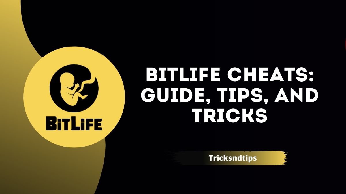 Dicas e truques para se dar bem em BitLife BR – Simulação de vida