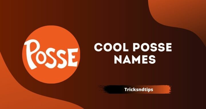 566 + Cool Posse Names ( Funny, Good, Wild & RDR2 )