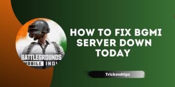 How To Fix Server Down Issue In BGMI? ( Quick & Easy Ways ) 2022