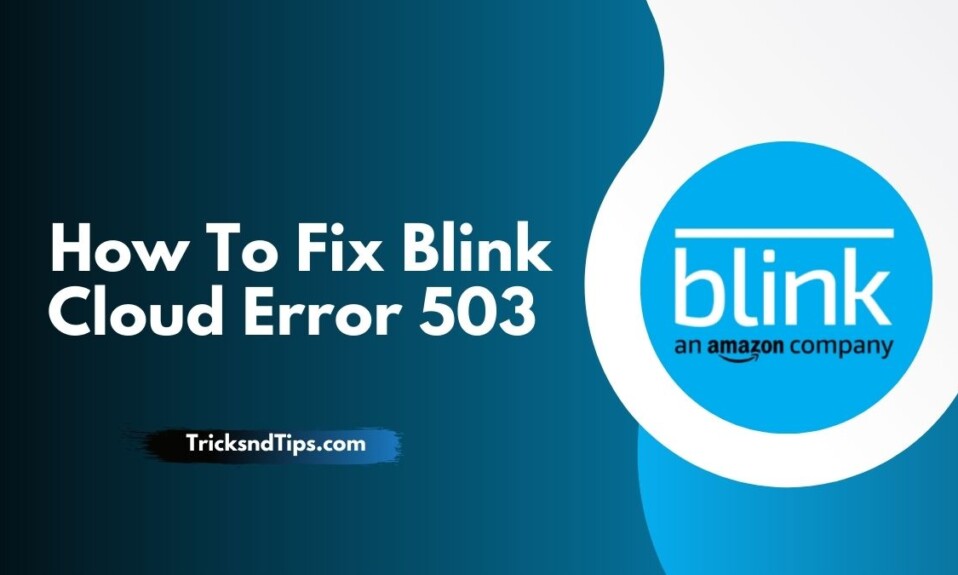 How To Fix Blink Cloud Error 503