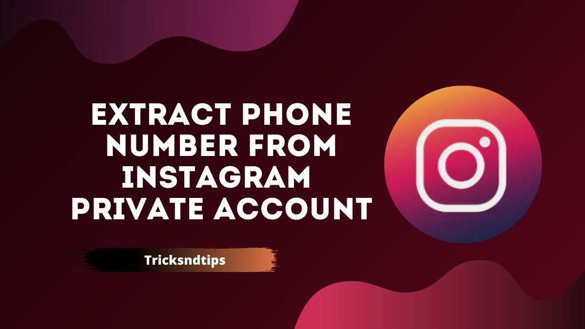 23-how-to-extract-phone-number-from-instagram-ultimate-guide-09-2023