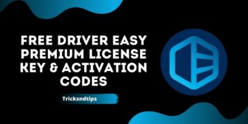 Free Driver Easy Premium License Key & Activation Codes ( Latest & Working ) 2023