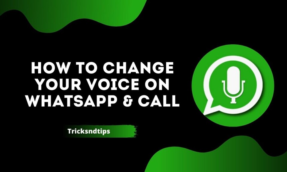 Best Male To Female Voice Changer Apps For Whatsapp